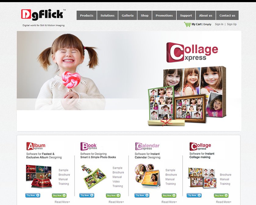 Screenshot Home Page - www.dgflick.com
